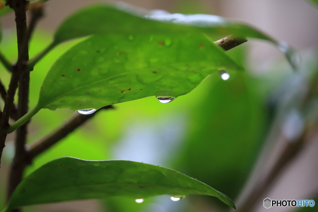 雨滴
