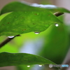 雨滴