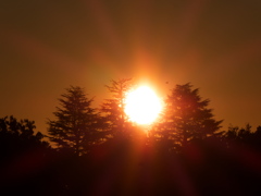 日の出