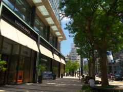 日陰