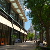 日陰