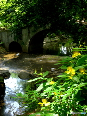 渋谷、広尾周辺8