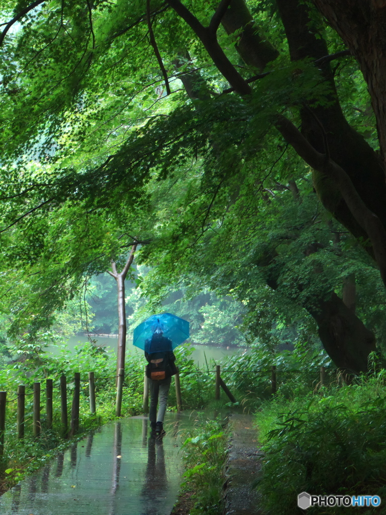 雨の石神井公園０３