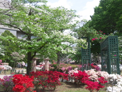 平成つつじ公園