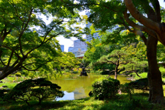 鶴の噴水と雲形池