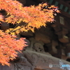 三宝寺の紅葉2