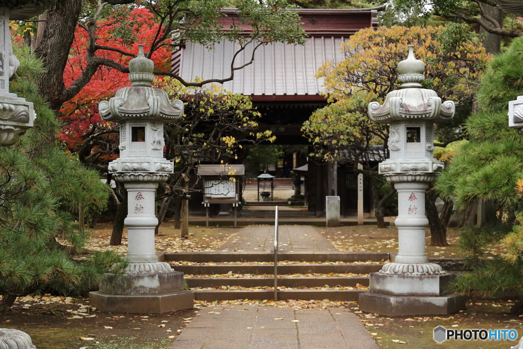 三宝寺の紅葉1