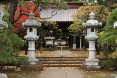 三宝寺の紅葉1