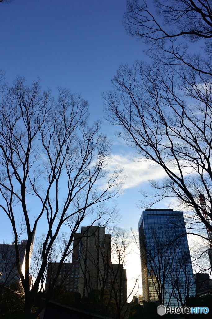 冬の日比谷公園