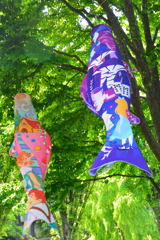鯉のぼり_2