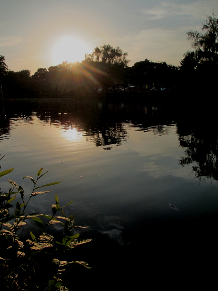 石神井公園の夕日と湧水2