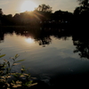 石神井公園の夕日と湧水2