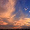 上弦の月と夕空