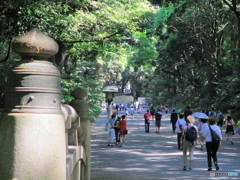新緑の明治神宮5