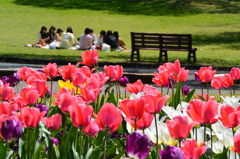 稲荷山公園の桜7