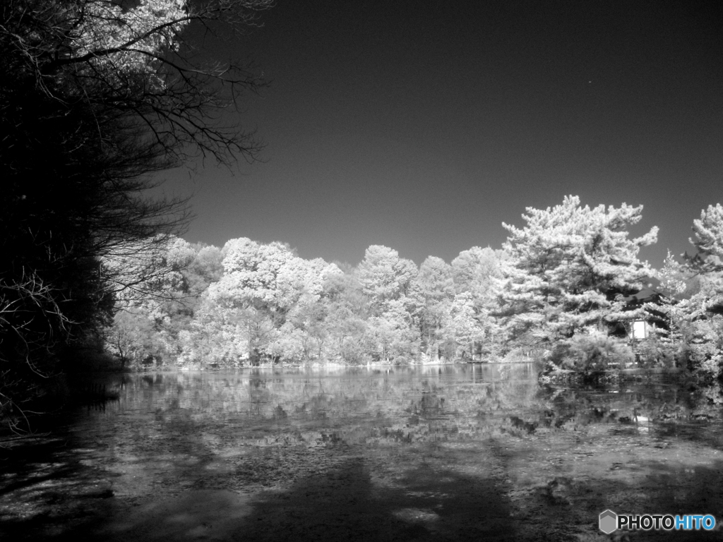 石神井公園（カラー、モノクロ）4