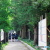 強者どもの夢の跡