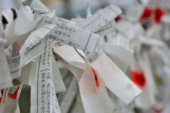 白山神社のお神籤
