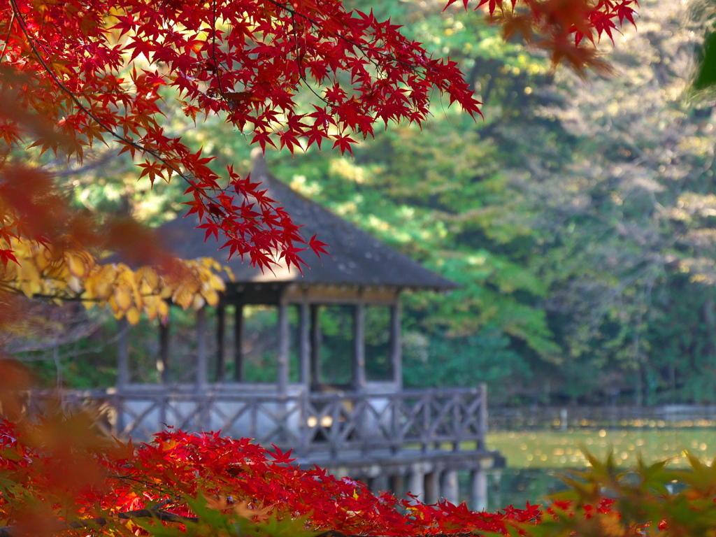 紅葉と東屋