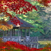 紅葉と東屋