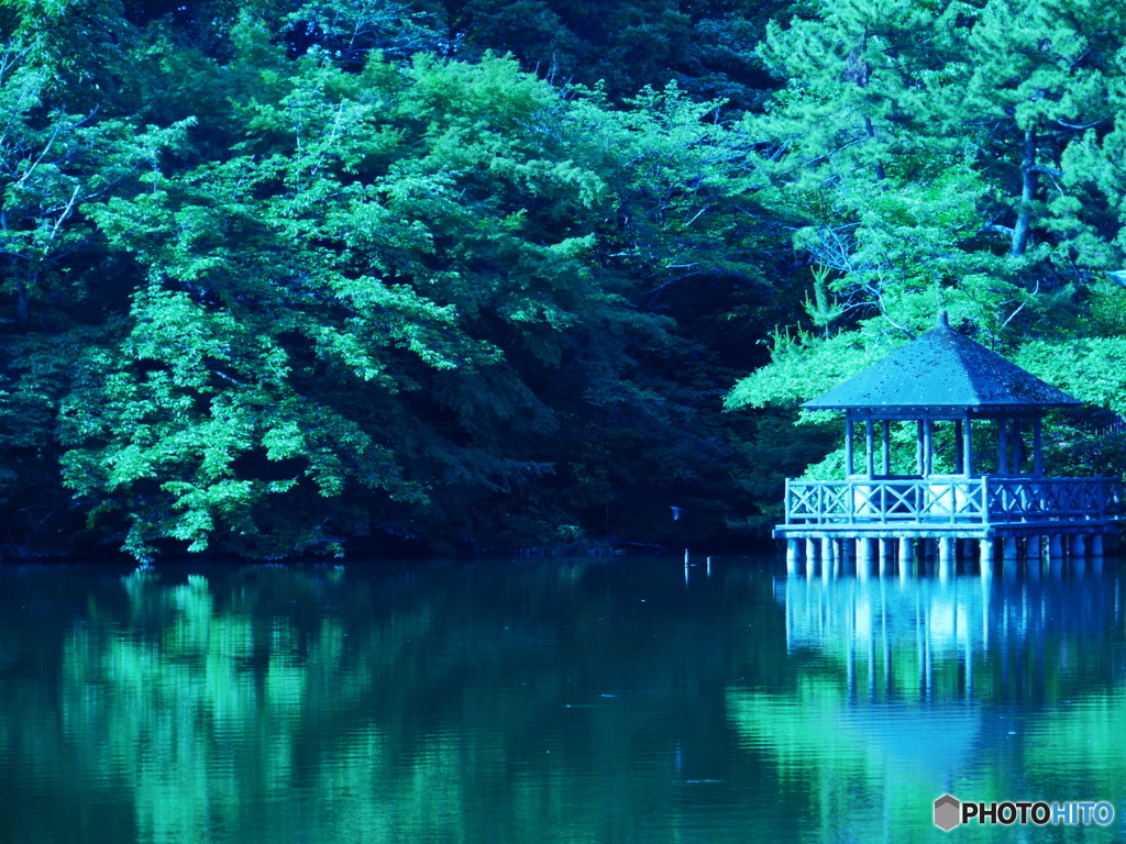 ６月の石神井公園03