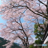 海禅寺の桜と奥多摩の山々