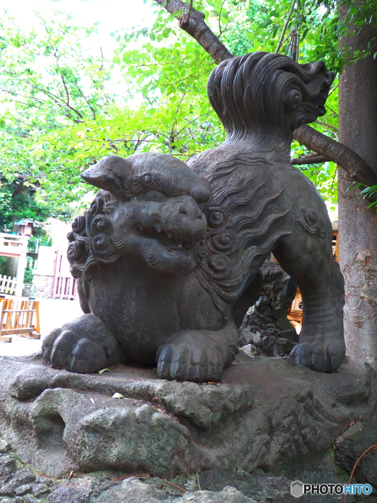 下落合氷川神社の狛犬２