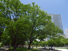 昼下がりの日比谷公園