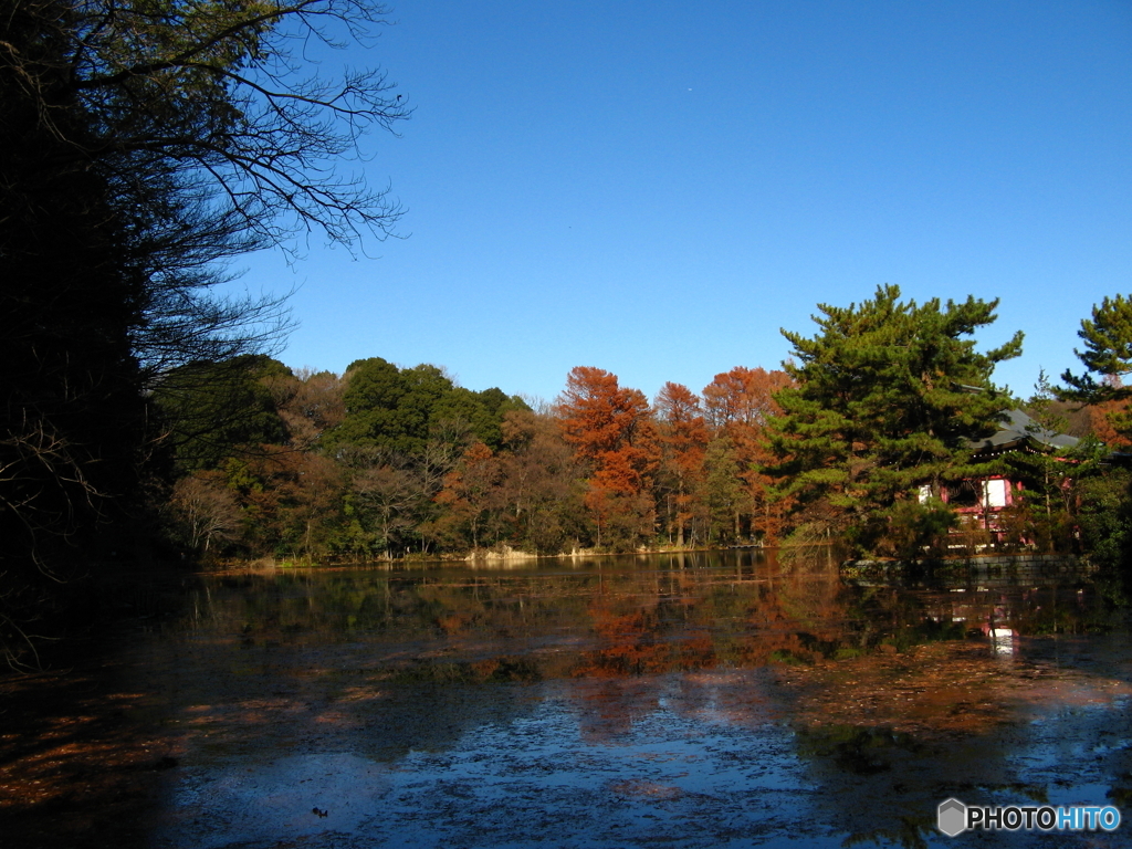 石神井公園（カラー、モノクロ）3