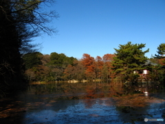 石神井公園（カラー、モノクロ）3