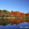 紅葉が美しい三宝字池