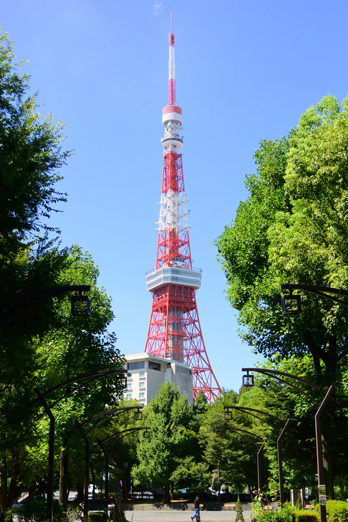快晴の芝公園と東京タワー