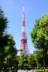 快晴の芝公園と東京タワー