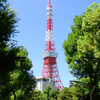 快晴の芝公園と東京タワー