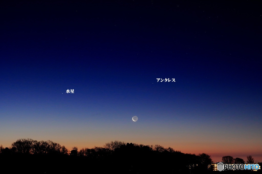 暁の月と水星、朝焼け（文字入り）