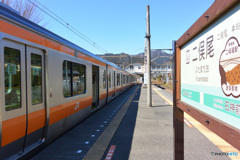 E233系と二俣尾駅