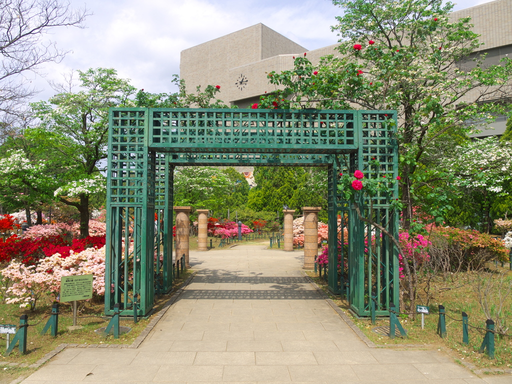 平成つつじ公園