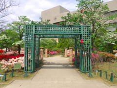平成つつじ公園