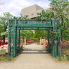 平成つつじ公園