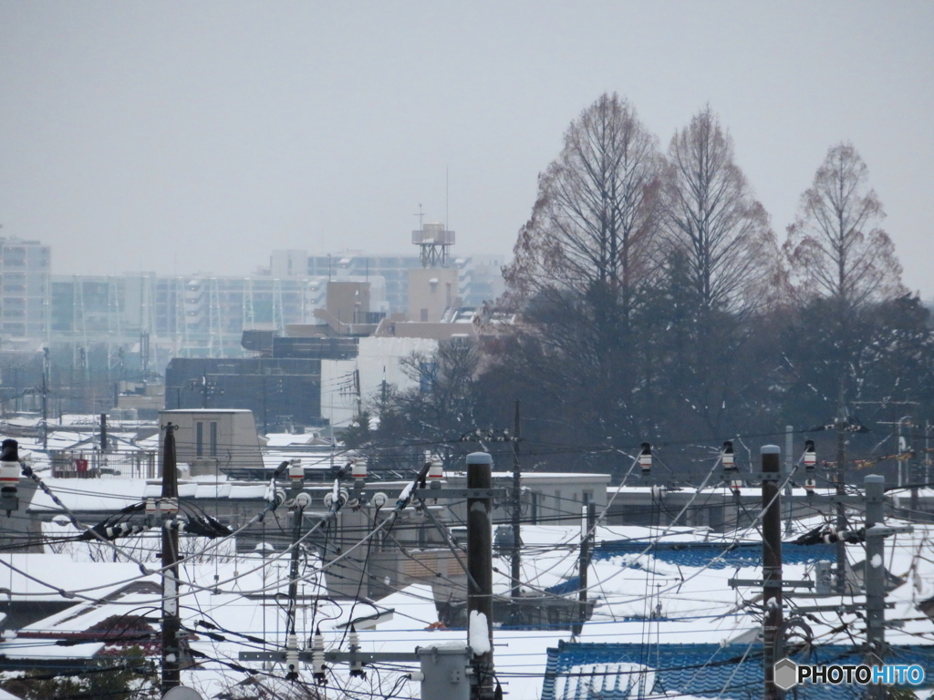 雪景色