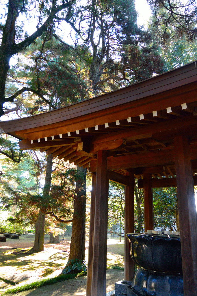 三宝寺 04 by HY13 （ID：5071116） 写真共有サイトPHOTOHITO