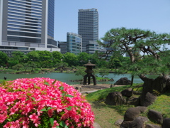 躑躅と石灯籠