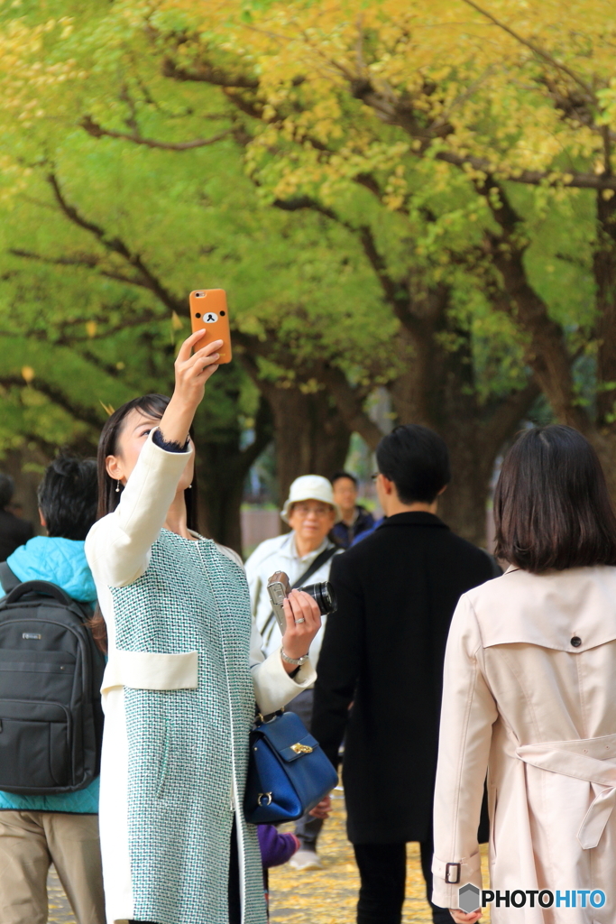神宮外苑のイチョウ並木2