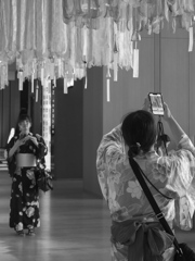 綺麗に撮れたかな？