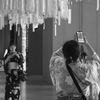 綺麗に撮れたかな？