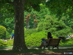 初夏の新宿御苑02