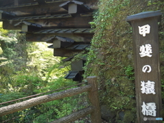 初夏の猿橋と桂川5