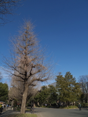新年の日比谷公園4