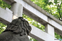 大國魂神社1