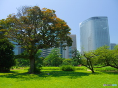 浜離宮恩賜庭園